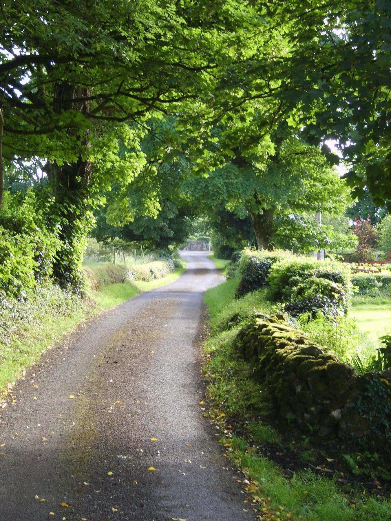 Lake Avenue House Ballyconnell  Εξωτερικό φωτογραφία